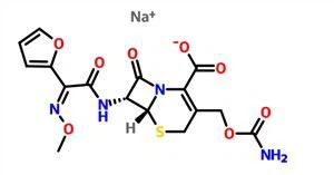 Kefuroksiiminatrium CAS-nro 56238-63-2